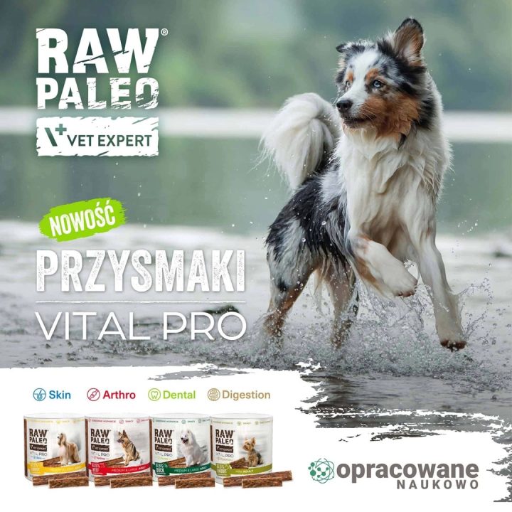 VetExpert Raw Paleo Vital Pro dental duck mini 100g