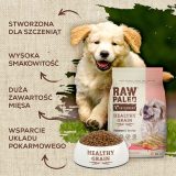 VETEXPERT Raw Paleo Healthy Grain Puppy Salmon and barley - dry dog ??food - 10 kg