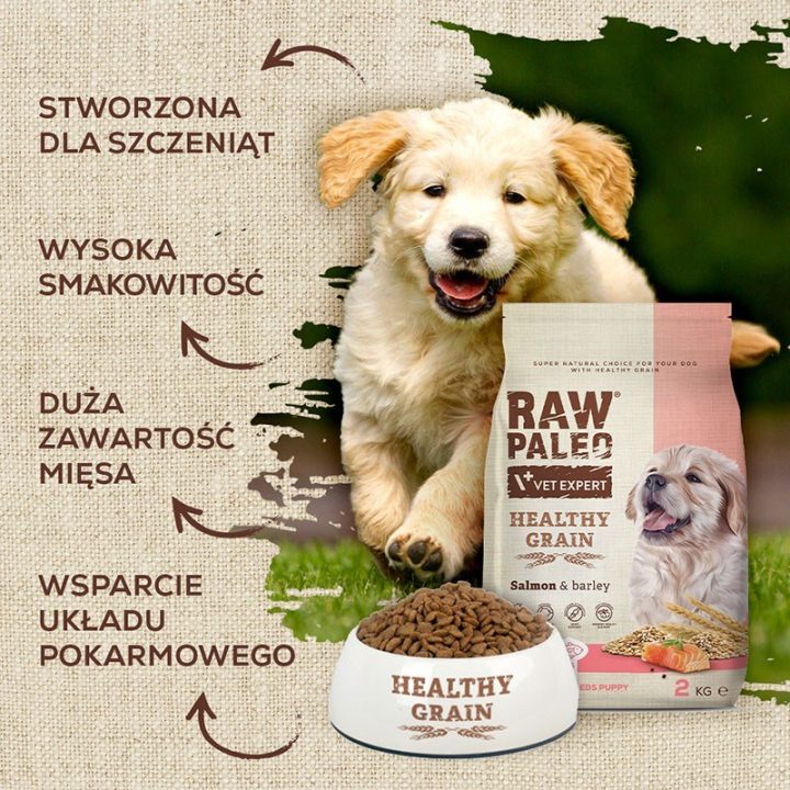 VETEXPERT Raw Paleo Healthy Grain Puppy Salmon and barley - dry dog ??food - 10 kg