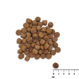 VETEXPERT Raw Paleo Healthy Grain Puppy Salmon and barley - dry dog ??food - 10 kg