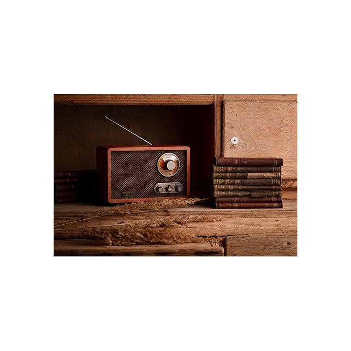 Radio Adler AD 1171