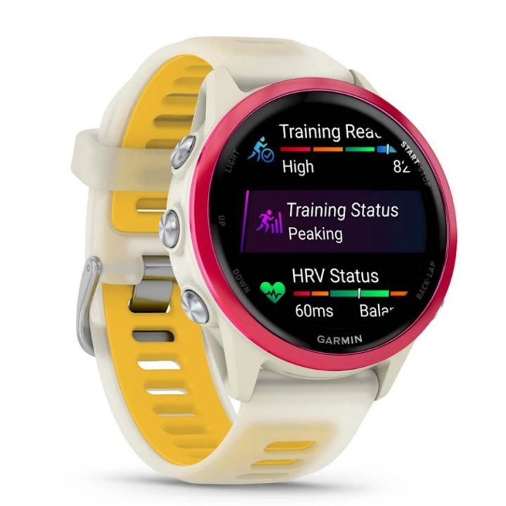 Garmin Forerunner 570 3.05 cm (1.2 ) AMOLED 42 mm Digitale 390 x 390 pixel touchscreen rosa bianco Wi-Fi GPS (satellite)