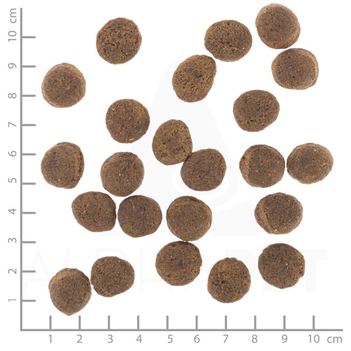 WOLFSBLUT VetLine Gastrointestinal anatra - cibo secco per cani - 12kg
