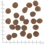 WOLFSBLUT VetLine Gastrointestinal anatra - cibo secco per cani - 2kg