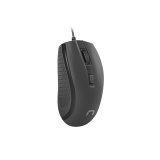 Natec Mouse ottico HOOPOE 2 1600 DPI USB nero