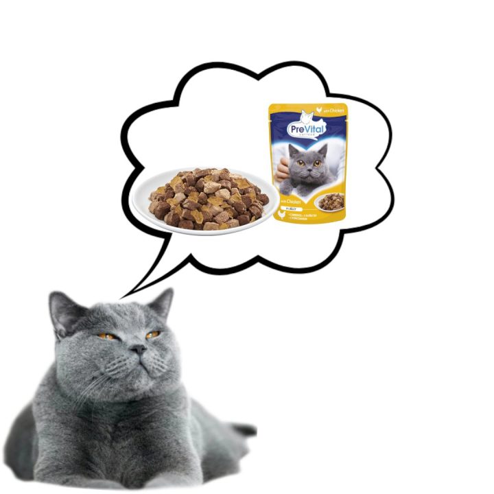 PREVITAL Pollo in gelatina - cibo umido per gatti - 100g