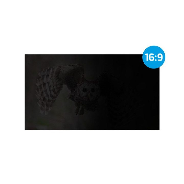 NATEC FILTRO DI PRIVATIZZAZIONE OWL 27 16:9