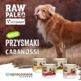 VETEXPERT Raw Paleo Cabanossi Game Mini - dog treat - 100g