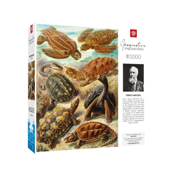 Puzzle Good Loot Imagination: Ernst Haeckel Chelonia - Tartarughe marine 1000 elementi