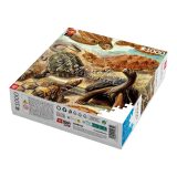 Puzzle Good Loot Imagination: Ernst Haeckel Chelonia - Tartarughe marine 1000 elementi