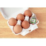 TAMAGOTCHI - ECO CELEBRATION EGG