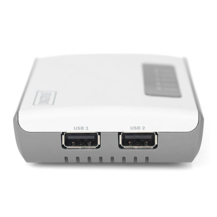 Digitus 2 Porta USB 2.0 Server di rete wireless multifunzionale 300 Mbps