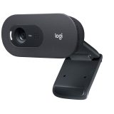 Logitech C505 Webcam 1280 x 720 px USB Nero