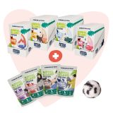 ANIMAL ISLAND Love Box Brodo mix di sapori 48szt + giocattolo