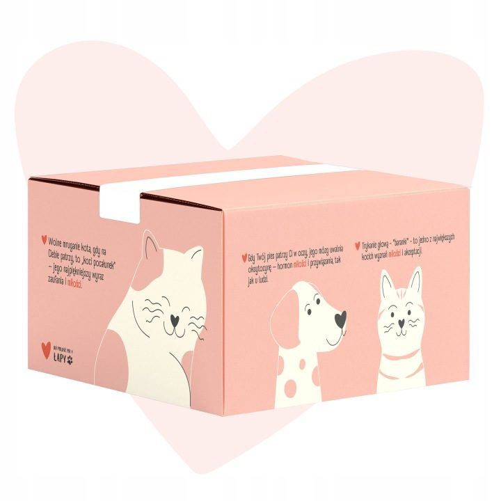 ANIMAL ISLAND Love Box Brodo mix di sapori 48szt + giocattolo