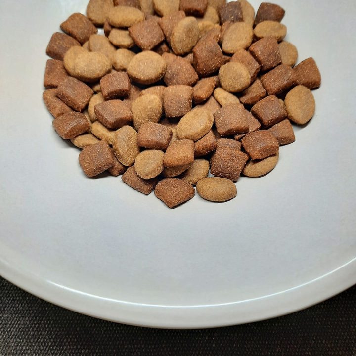 PUPIL Prime Mini Ricco di pollame con manzo - cibo secco cani - 10kg