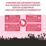 PUPIL Premium Junior Razze grandi e giganti Ricco di manzo - cibo secco cani - 12kg