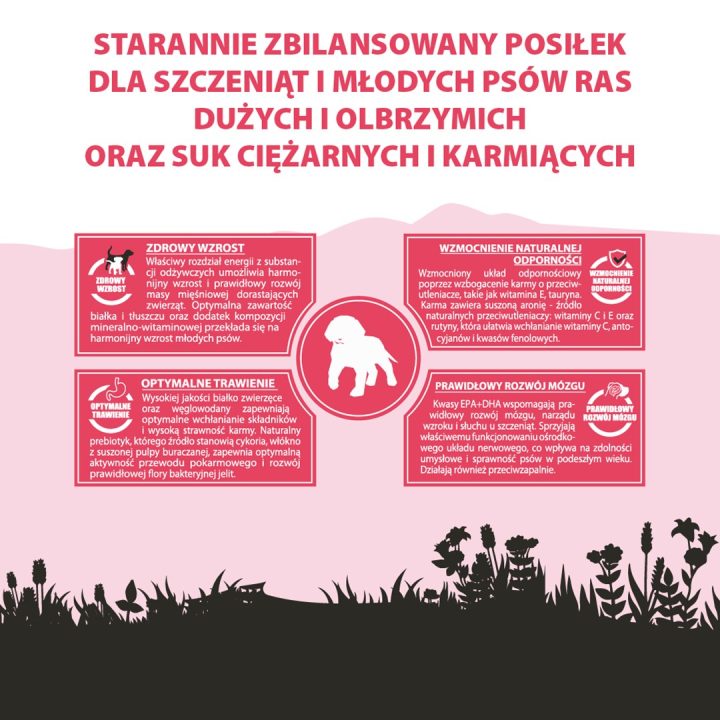 PUPIL Premium Junior Razze grandi e giganti Ricco di manzo - cibo secco cani - 12kg