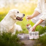 VETEXPERT Raw Paleo Adult Monoprotein maiale - cibo umido per cani - 400 g