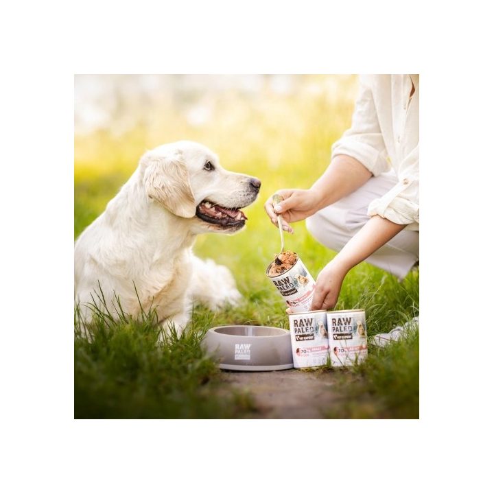 VETEXPERT Raw Paleo Adult Monoprotein maiale - cibo umido per cani - 400 g