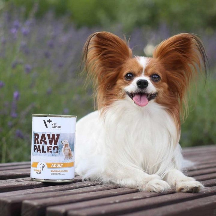 VETEXPERT Raw Paleo Adult Monoprotein tacchino - cibo umido per cani - 400 g