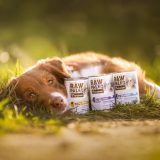 VETEXPERT Raw Paleo Adult Monoprotein tacchino - cibo umido per cani - 400 g