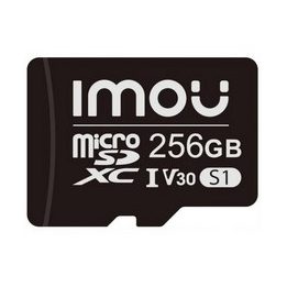 256 GB IMOU microSD Scheda di memoria