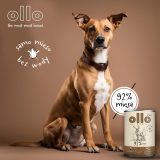 OLLO Pure Cervo – cibo umido per cani – 850 g