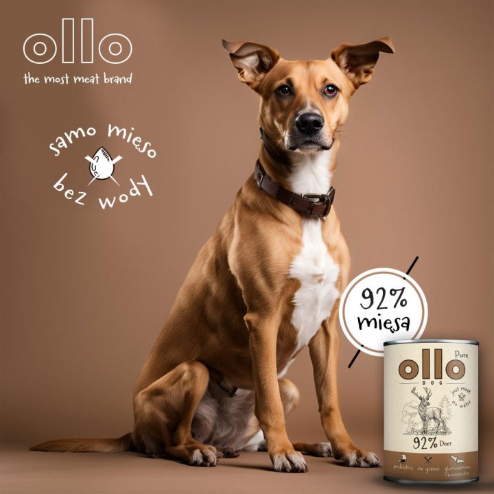 OLLO Pure Cervo – cibo umido per cani – 850 g