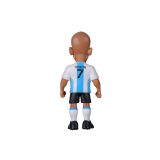MINIX WC LEGGENDE ARGENTINA - JUAN SEBASTIAN VERON