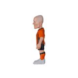 MINIX WC LEGENDS NETHERLANDS - ARJEN ROBBERN