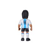 MINIX WC LEGGENDE ARGENTINA - CARLOS TEVEZ
