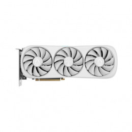 Zotac ZT-D40820Q-10P scheda...