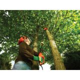 800W motosega per rami PS7525-QS BDE