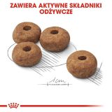ROYAL CANIN CCN Medium Sterilised Adult - cibo secco per cani - 12 kg