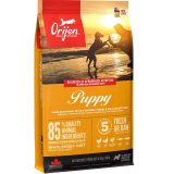 ORIJEN Puppy - cibo secco per cani - 11 4kg