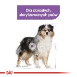 ROYAL CANIN Medium Sterilizzato cibo secco per cani - 3 kg