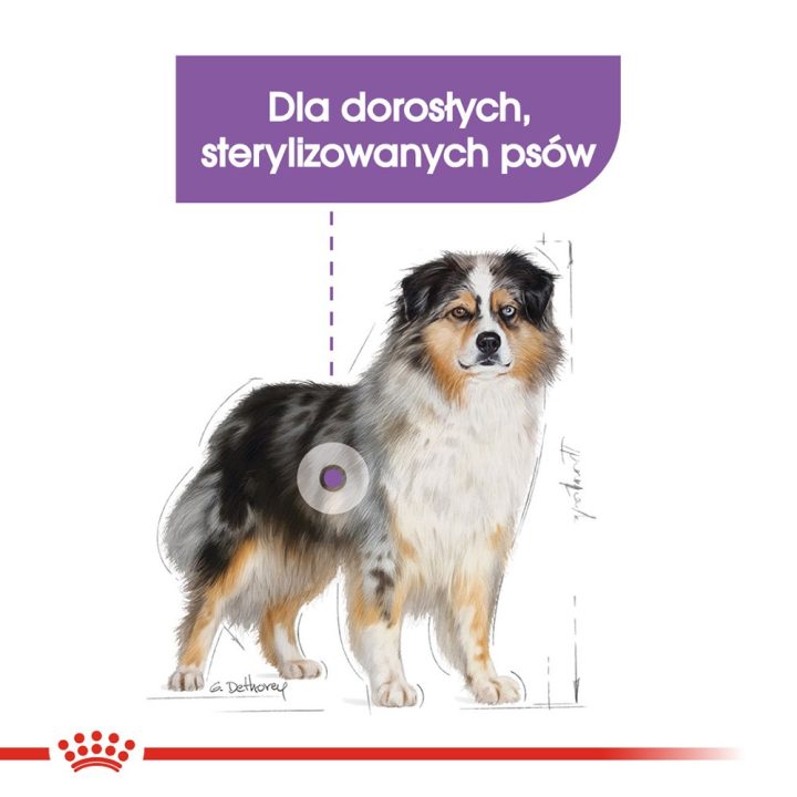 ROYAL CANIN Medium Sterilizzato cibo secco per cani - 3 kg