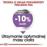 ROYAL CANIN Medium Sterilizzato cibo secco per cani - 3 kg