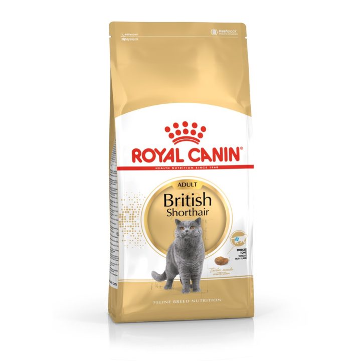 Royal Canin British Shorthair Adult cibo secco per gatti 4 kg