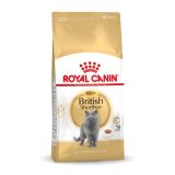 Royal Canin British Shorthair Adult cibo secco per gatti 4 kg