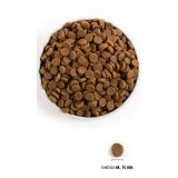 ACANA Dog Light & Fit Recipe - cibo secco per cani - 11 4kg