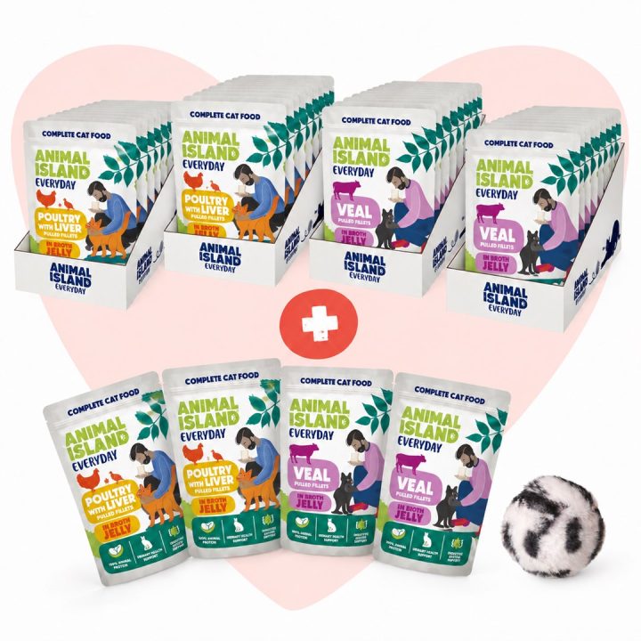 ANIMAL ISLAND Love Box Filetti in Gelatina Box + Giocattolo - cibo umido per gatti - 48x85g
