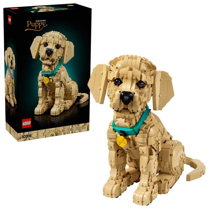 LEGO ICONS 11384 Cucciolo di Golden Retriever