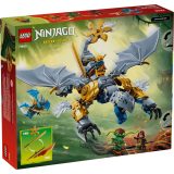 LEGO NINJAGO 71855 Ninja Dragon Riyu's Battle