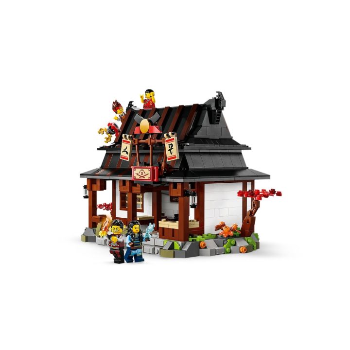 LEGO NINJAGO 71858 Fabbro di Quattro Armi - 15º Anniversario