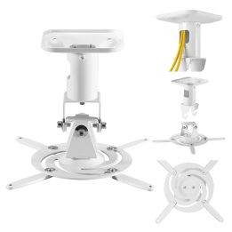 Maclean Staffa/gancio da soffitto per proiettori in acciaio 180–310 mm fino a 15 kg MC-208 W