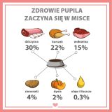 PUPIL Premium All Meat Cervo - cibo umido per cani - 800g
