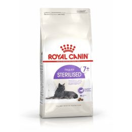 ROYAL CANIN Sterilizzato 7+ - cibo secco per gatti - 10 kg