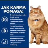 HILL'S PD K/D Kidney + Mobility Chicken - dry cat food - 3kg